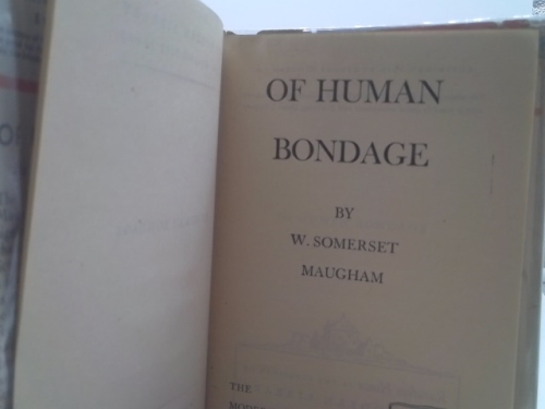 Actual Product Display 2