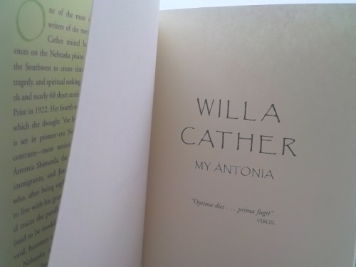 Actual Product Display 2