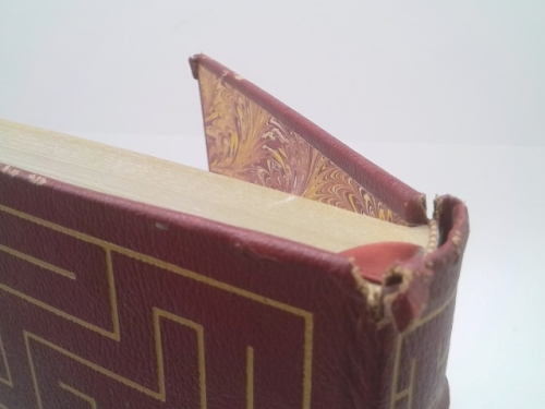 Actual Product Display 3