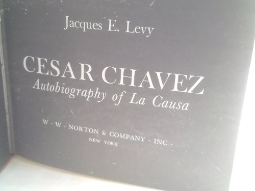 Actual Product Display 2