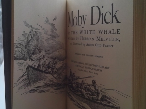 Actual Product Display 2