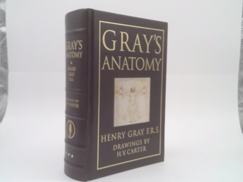 Gray's Anatomy