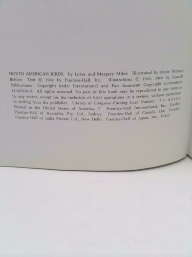 Actual Product Display 2