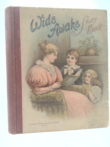 Wide Awake: Bright Stories for Boys and Girls