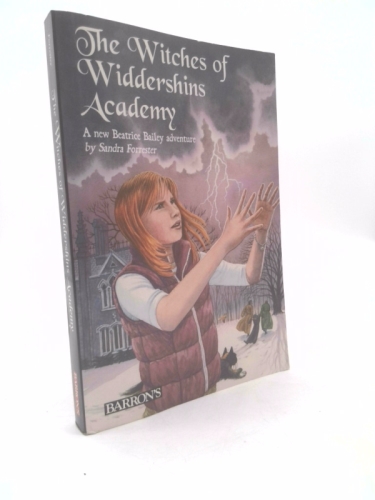 The Witches of Widdershins Academy
