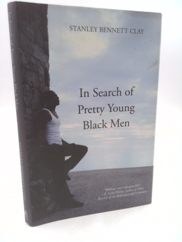 In Search of Pretty Young Black Men: A Novel