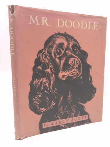 Mr. Doodle;