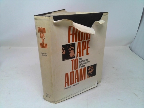 From Ape to Adam