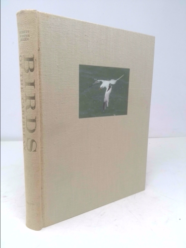 Birds of the Caribbean (A Studio book) (Ltd Ed) by Robert Porter Allen