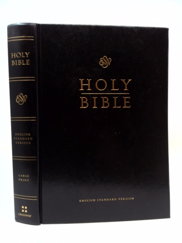 Actual Product Display Primary Cover