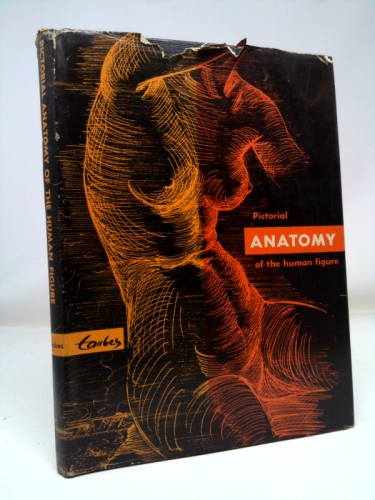 Pictorial Anatomy
