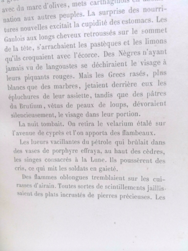 Madame Bovary & Salammbo.