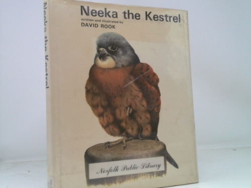 Neeka the kestrel,