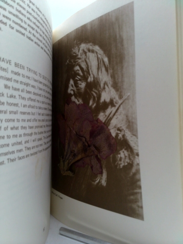 Actual Product Display 3