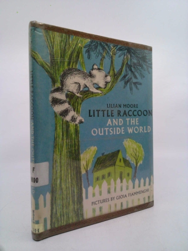 Little Racoon and the Outside World