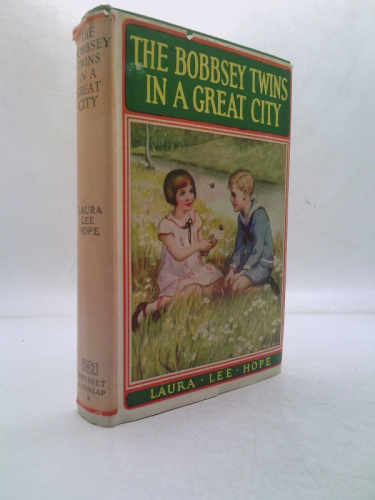 The Bobbsey Twins in a Great City (Bobbsey Twins, #9)