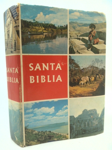 Santa Biblia NVI / Holy Bible NIV