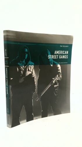 American Street Gangs by Delaney, Tim