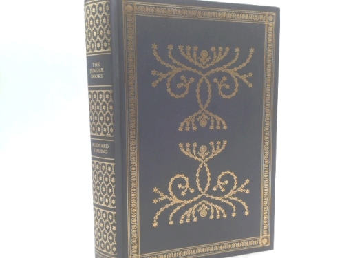 Actual Product Display Primary Cover