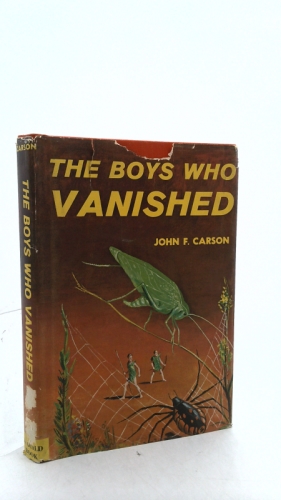 The Boys Who Vanished