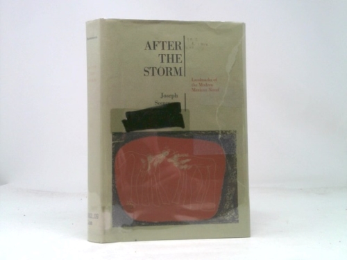 After The Storm: Landmarks Of The Modern Mexican Novel