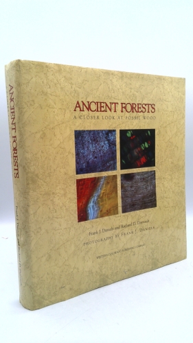 Ancient Forests: A Closer Look at Fossil Wood