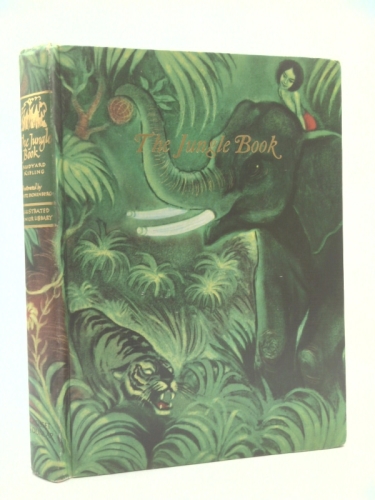 Actual Product Display Primary Cover