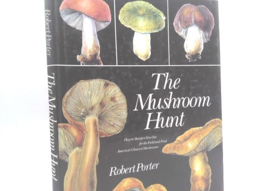 Mushroom Hunt