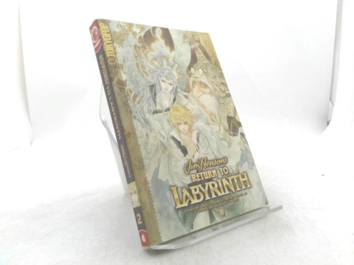 Return to Labyrinth, Vol. 2