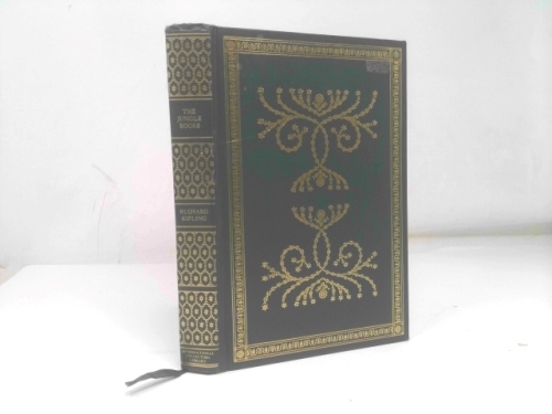 Actual Product Display Primary Cover