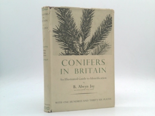 Conifers in Britain