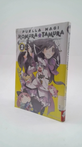 Puella Magi Homura Tamura, Vol. 2: ~Parallel Worlds Do Not Remain Parallel Forever~