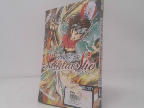 Saint Seiya: Saintia Sho Vol. 11