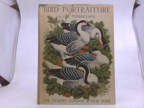 Bird Portraiture