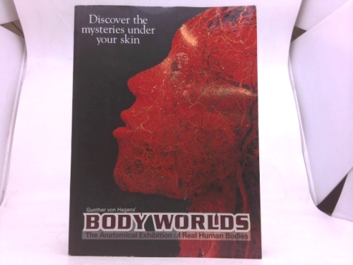 Gunther von Hagen's BODYWORLDS The Anatomical Exhibition of Real Human Bodies