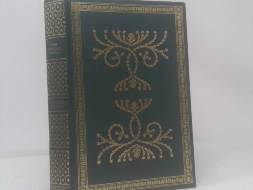 Actual Product Display Primary Cover