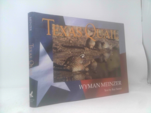 Texas Quail
