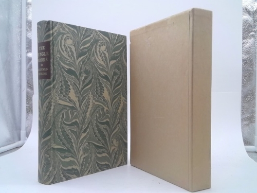 Actual Product Display Primary Cover
