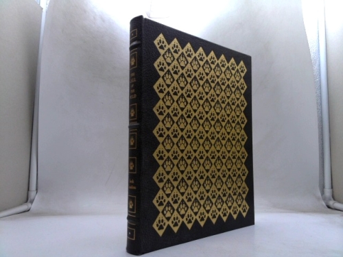 Actual Product Display Primary Cover