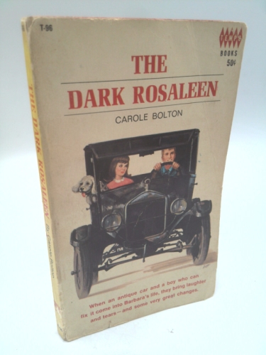 Dark Rosaleen: A Story Of Ireland Today...
