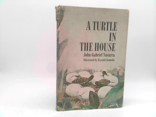 a turtle in the house