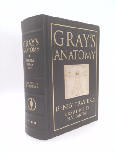 Gray's Anatomy