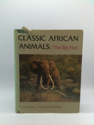 Classic African animals: The big five