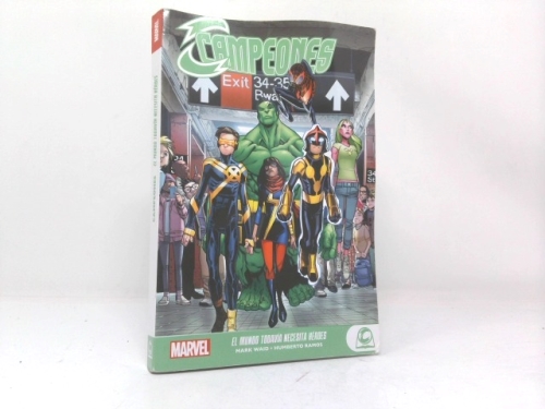 Champions: Because the World Still Need Heroes
