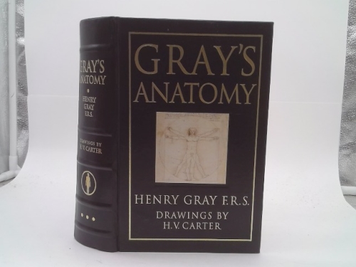 Gray's Anatomy
