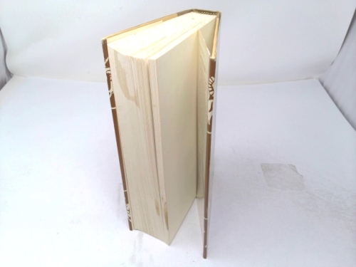 Actual Product Display 3