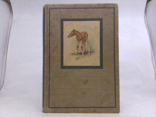 Actual Product Display Primary Cover