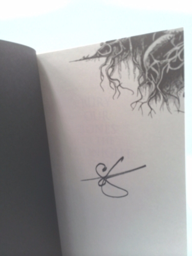 Actual Product Display 2