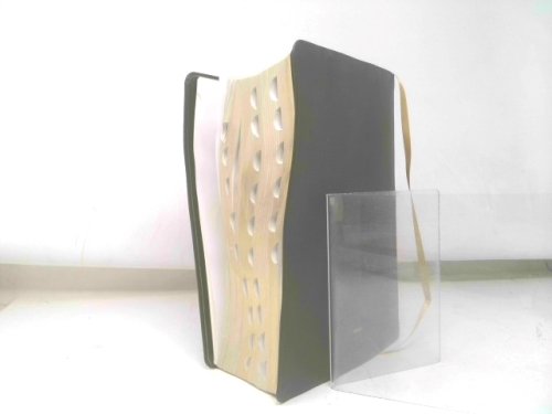 Actual Product Display 4