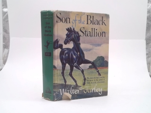 Son of the Black Stallion (13th Printing Hardback) Walter Farley